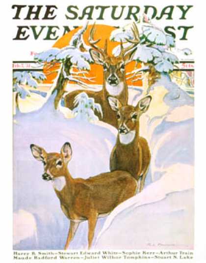 Saturday Evening Post - 1931-02-07: Deer in Snow (Paul Bransom)