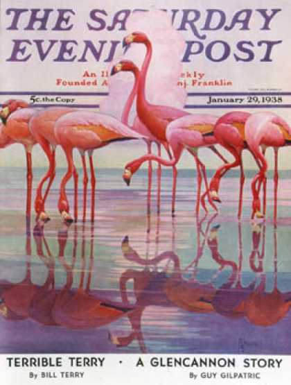 Saturday Evening Post - 1938-01-29: Pink Flamingos (Francis Lee Jaques)