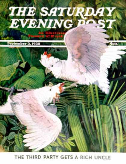 Saturday Evening Post - 1938-09-03: Two Cockatoos (Julius Moessel)