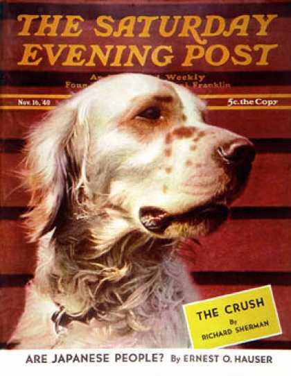 Saturday Evening Post - 1940-11-16: Springer Spaniel (W.W. Calvert)