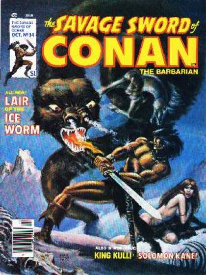 Savage Sword of Conan 34 - Conan - Dragon - Fire - Ice - Battle - Ernie Chan
