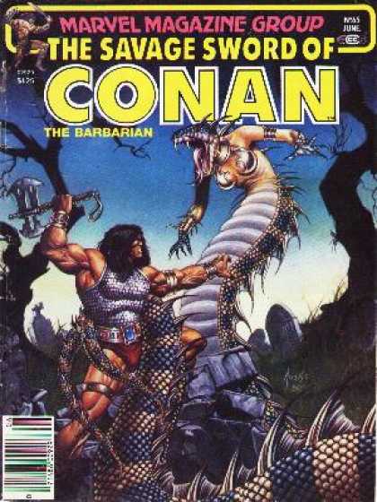 Savage Sword of Conan 65 - Joe Jusko