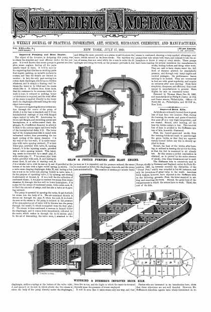 Scientific American - July 17, 1869 (vol. 21, #3)