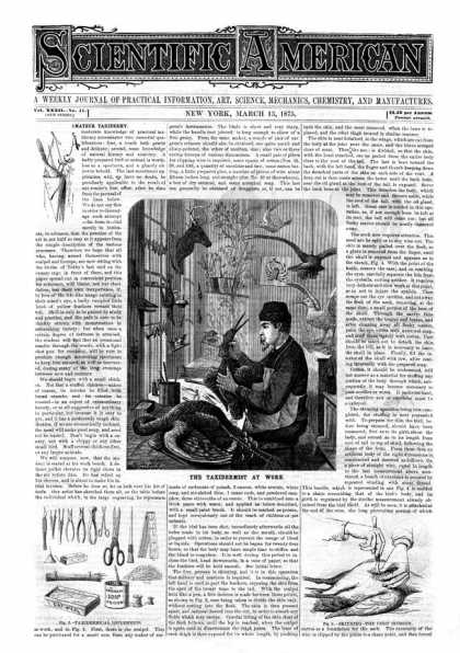 Scientific American - 1875-03-13