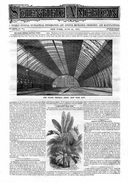 Scientific American - 1875-06-26