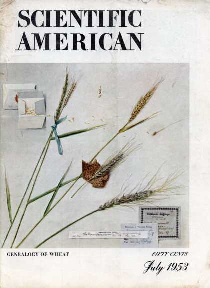 Scientific American - July 1953