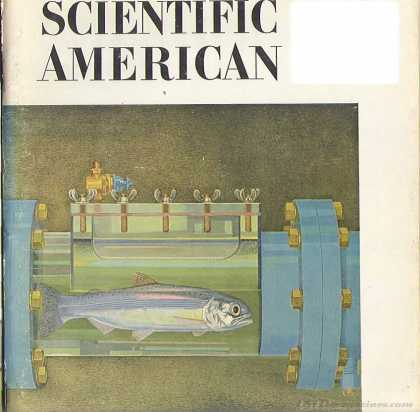 Scientific American - August 1965
