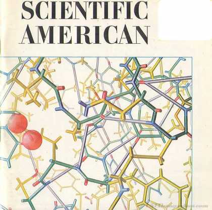 Scientific American - November 1966