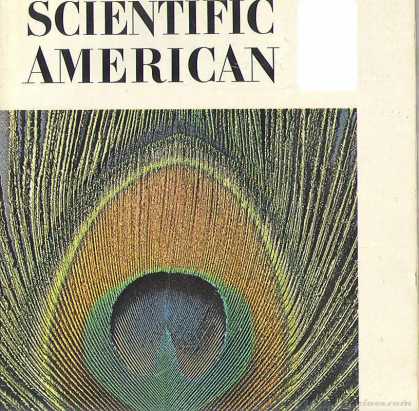 Scientific American - December 1970