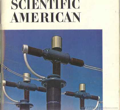 Scientific American - January 1971
