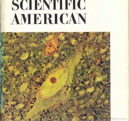 Scientific American - July 1971