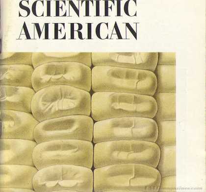 Scientific American - August 1971