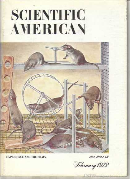 Scientific American - February 1972