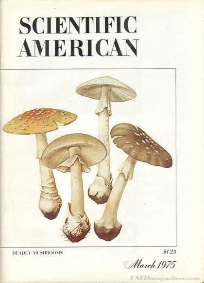 Scientific American - March 1975