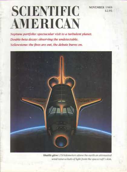 Scientific American - November 1989
