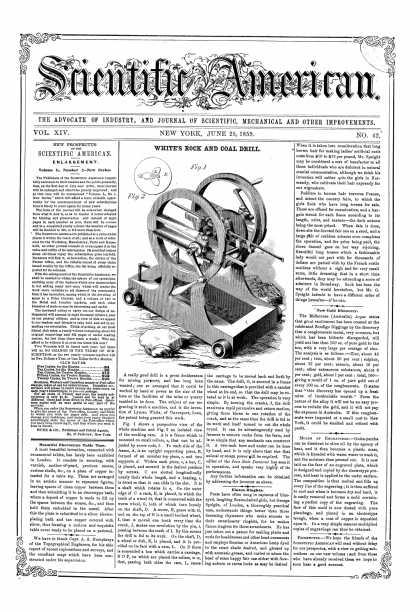 Scientific American - June 25, 1859 (vol. 14, #42)