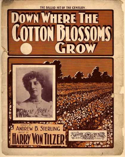 Sheet Music - Down where the cotton blossoms grow