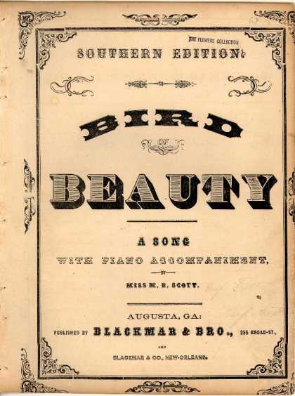 Sheet Music - Bird of beauty