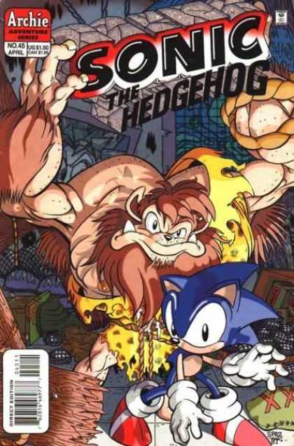 Sonic the Hedgehog 45