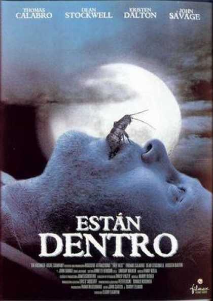 Spanish DVDs - They Nest