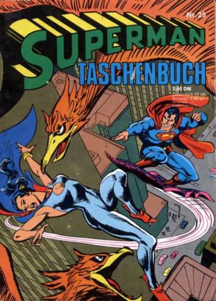 Superman Taschenbuch 25