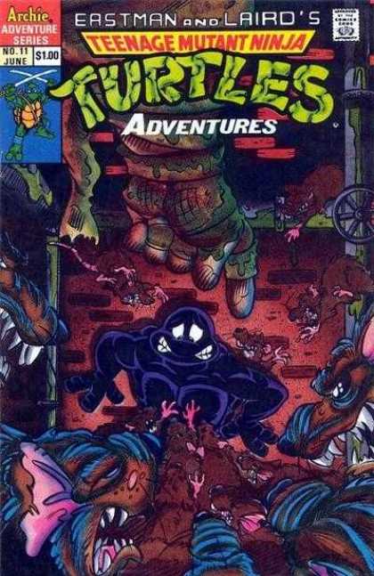 Teenage Mutant Ninja Turtles Adventures 2 11