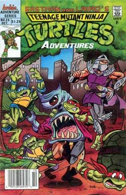 Teenage Mutant Ninja Turtles Adventures 2 25