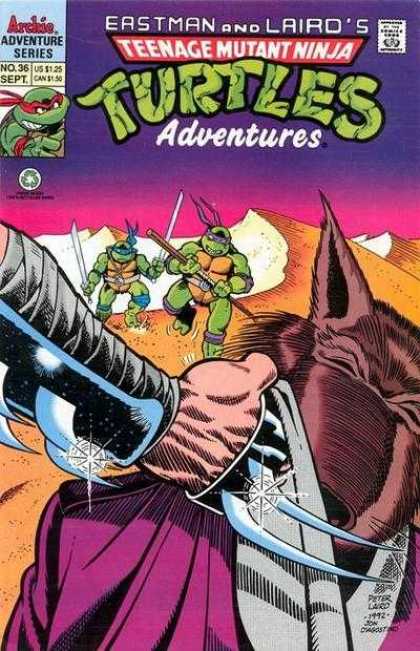 Teenage Mutant Ninja Turtles Adventures 2 36