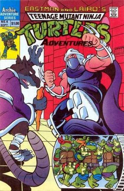 Teenage Mutant Ninja Turtles Adventures 2 4