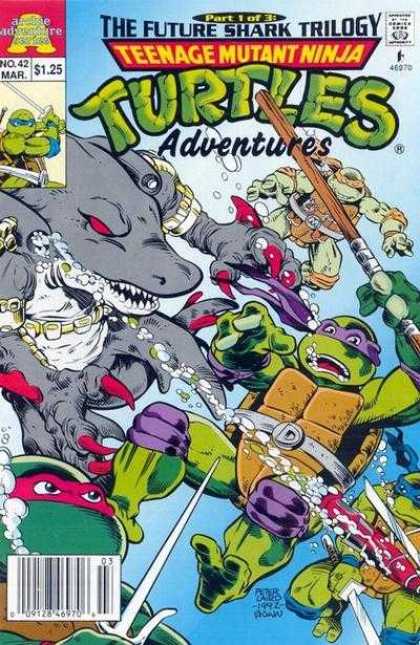 Teenage Mutant Ninja Turtles Adventures 2 42