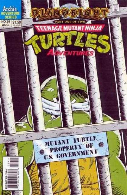 Teenage Mutant Ninja Turtles Adventures 2 59