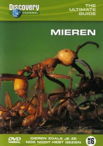 TV Series - Discovery Channel - Mieren