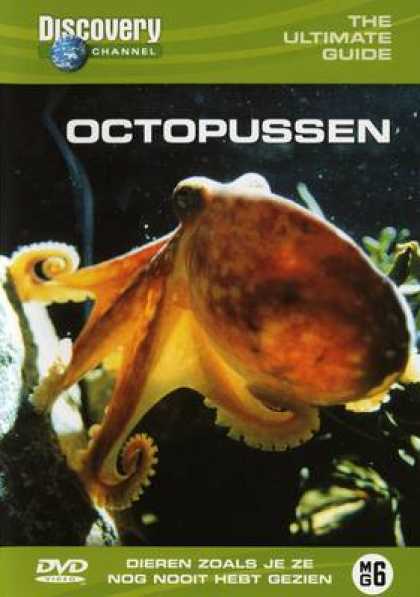 TV Series - Discovery Channel - Octopussen