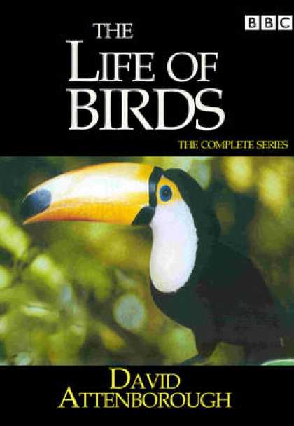 TV Series - David Attenborough - Life Of Birds