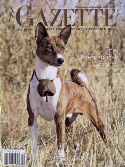 Various Magazines 13301