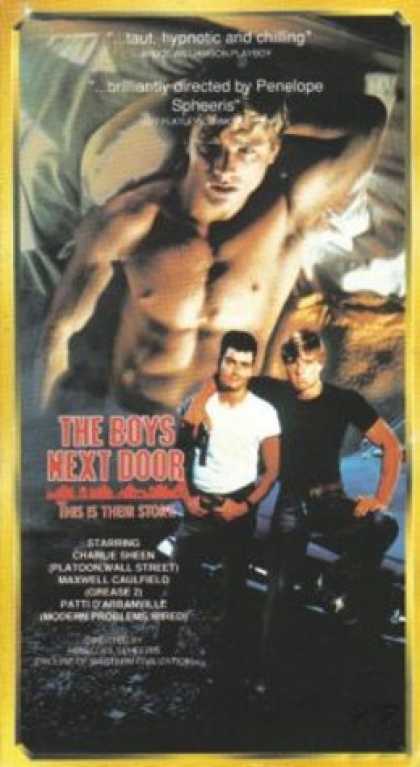 VHS Videos - Boys Next Door