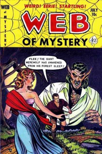 Web of Mystery 11