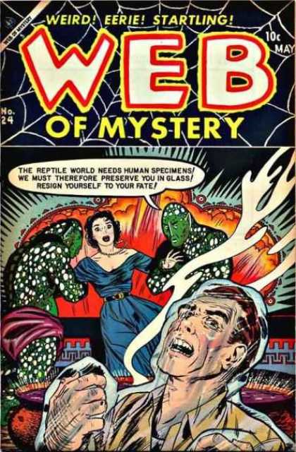 Web of Mystery 24