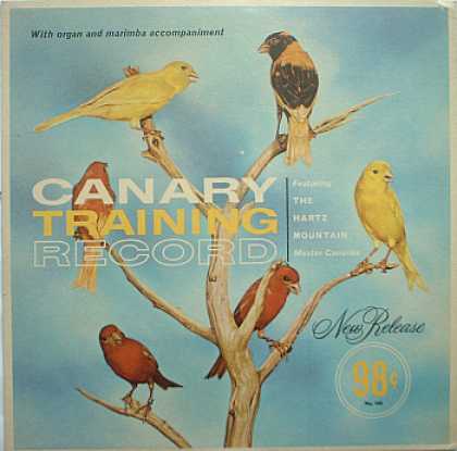 Weirdest Album Covers - Canary Training Record