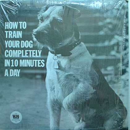 Weirdest Album Covers - How To Train Your Dog Completely In 10 Minutes A day