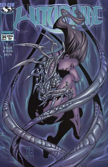 Witchblade 34 - Image - Top Cow - Z Green - D Tron Smith - Monster