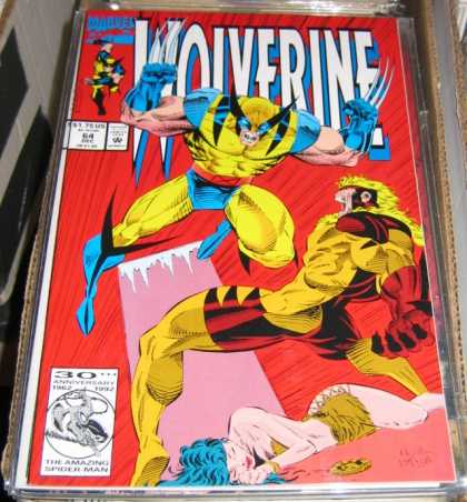 Wolverine 64 - Dan Panosian