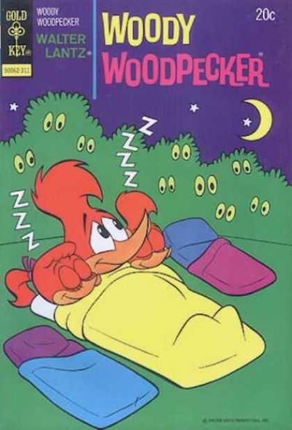 Woody Woodpecker 133