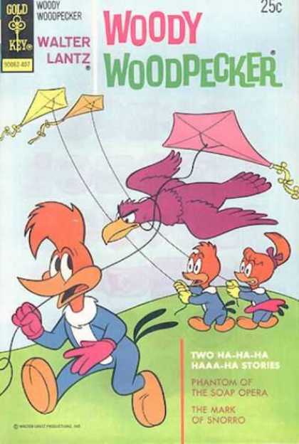 Woody Woodpecker 137 - Kites - Bird - Field - Sky - Grass