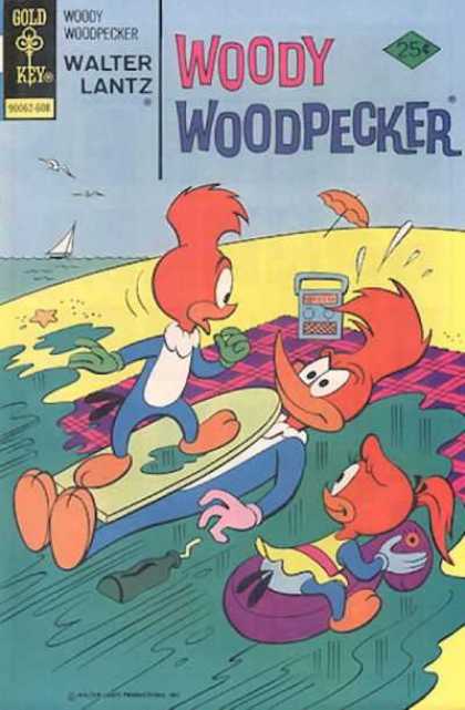 Woody Woodpecker 152 - Surfing - Beach - Three Woodpeckers - Sunbathing - High Tide