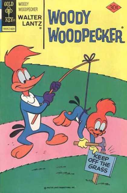 Woody Woodpecker 153