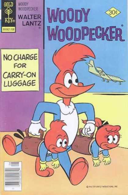 Woody Woodpecker 159
