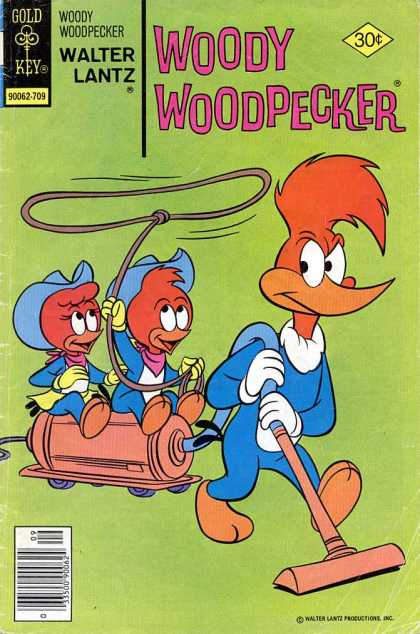 Woody Woodpecker 160 - Walter Loanz - Gold Key - Woodpeckers - Lasso - Vacuum Cleaner