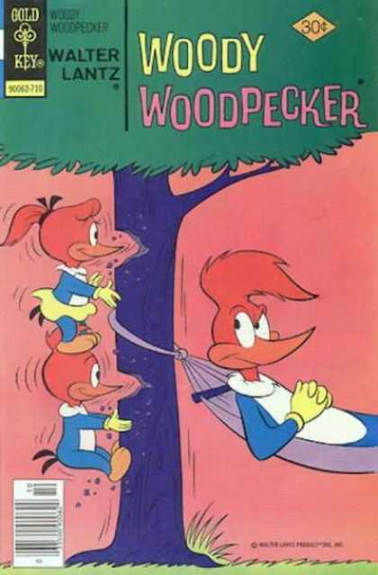 Woody Woodpecker 161 - Gold Key - Tree - Grass - Walter Lantz - Holes