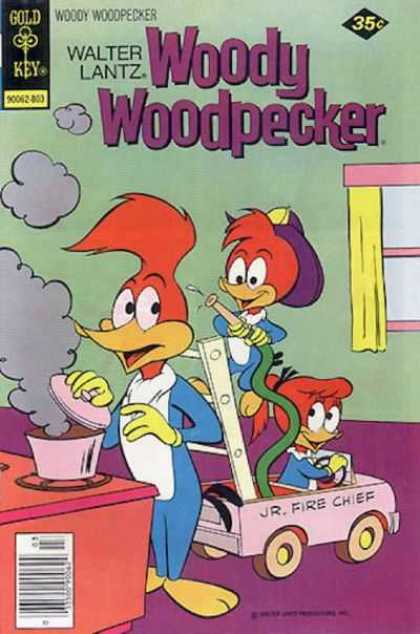 Woody Woodpecker 164